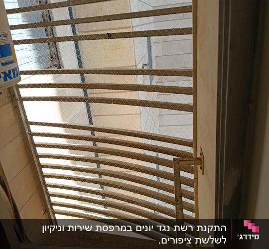 רשת יונים מותקנת על חלון למניעת כניסת יונים
